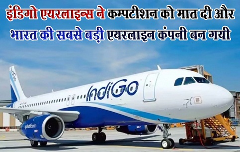 इंडिगो एयरलाइन्स ने कम्पटीशन को मात दी और भारत की सबसे बड़ी एयरलाइन कंपनी बन गयी