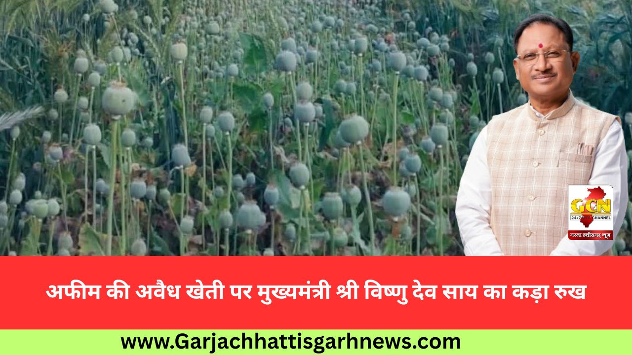 अफीम की अवैध खेती पर मुख्यमंत्री श्री विष्णु देव साय का कड़ा रुख