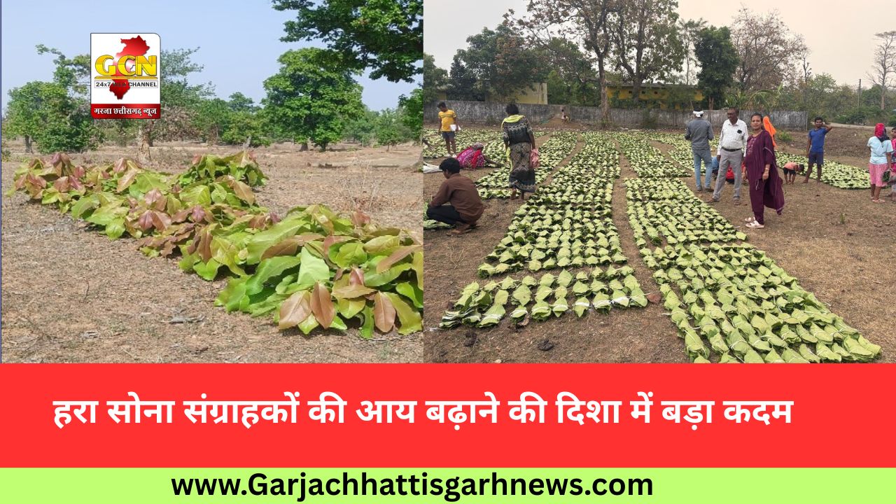 हरा सोना संग्राहकों की आय बढ़ाने की दिशा में बड़ा कदम