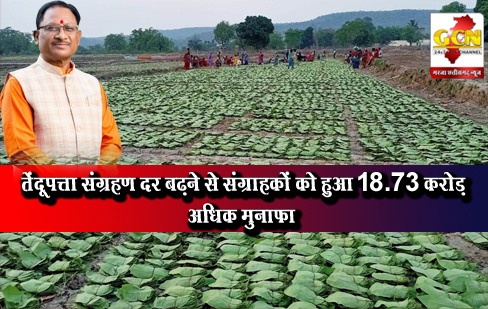 तेंदूपत्ता संग्रहण दर बढ़ने से संग्राहकों को हुआ 18.73 करोड़ अधिक मुनाफा