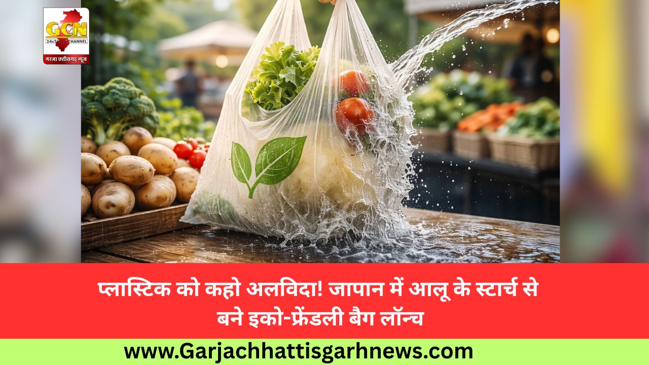 प्लास्टिक को कहो अलविदा! जापान में आलू के स्टार्च से बने इको-फ्रेंडली बैग लॉन्च