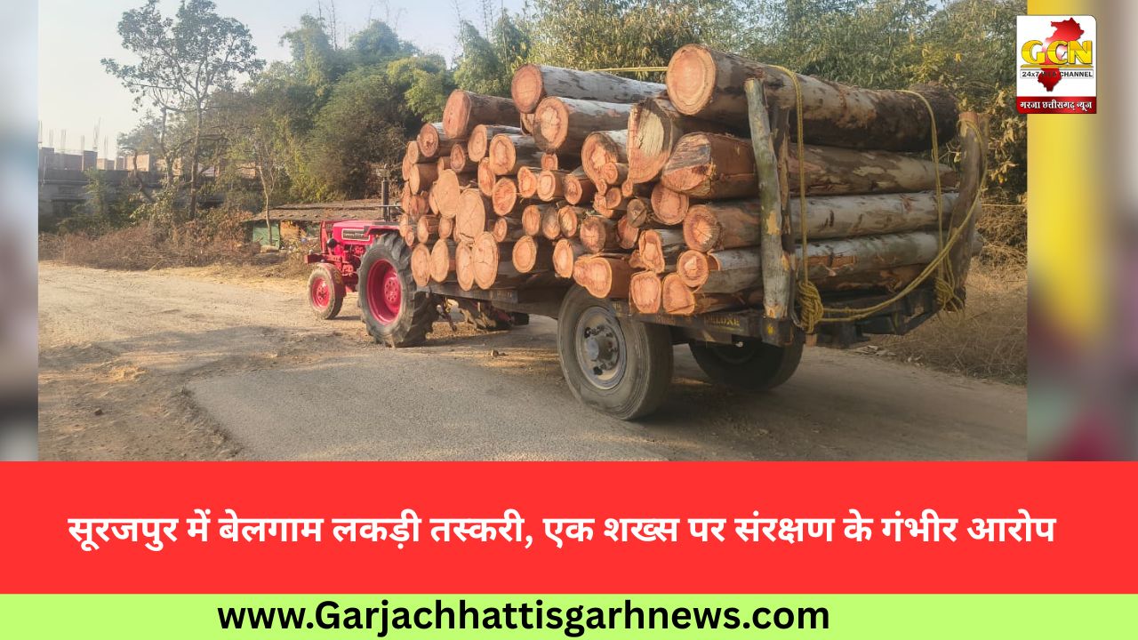 सूरजपुर में बेलगाम लकड़ी तस्करी, एक शख्स पर संरक्षण के गंभीर आरोप