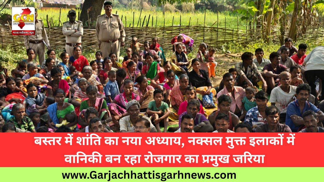 बस्तर में शांति का नया अध्याय, नक्सल मुक्त इलाकों में वानिकी बन रहा रोजगार का प्रमुख जरिया