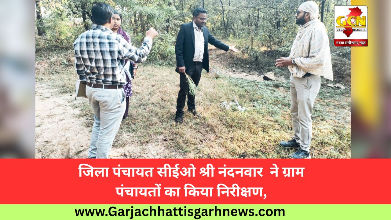 जिला पंचायत सीईओ श्री नंदनवार  ने ग्राम पंचायतों का किया निरीक्षण, 