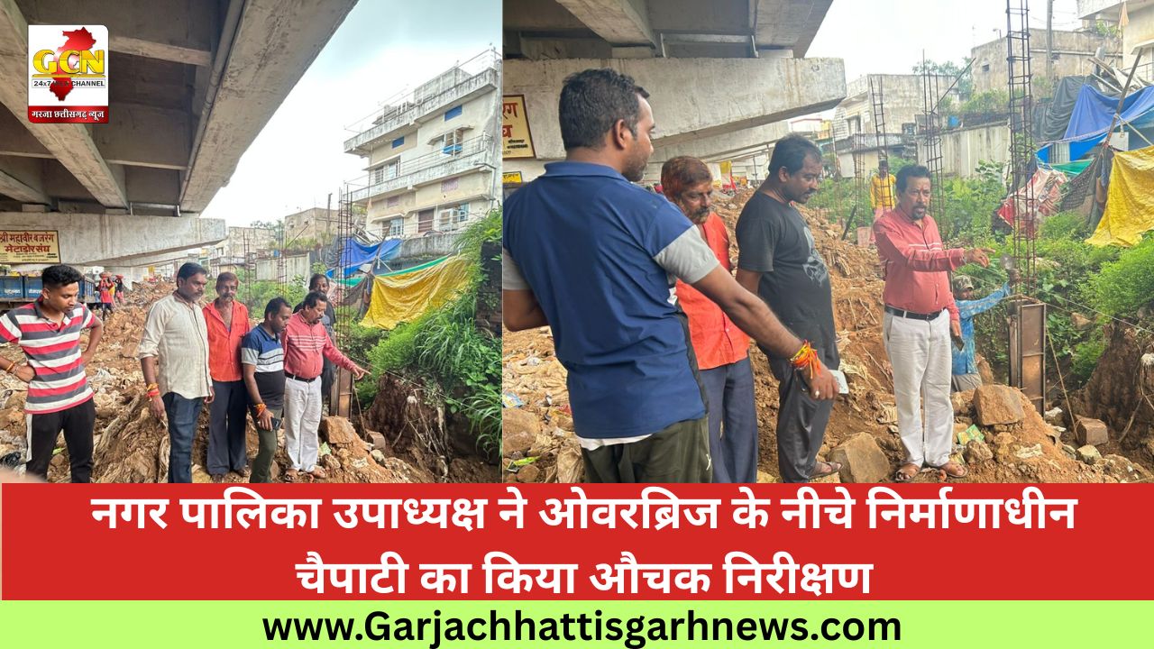 नगर पालिका उपाध्यक्ष ने ओवरब्रिज के नीचे निर्माणाधीन चैपाटी का किया औचक निरीक्षण