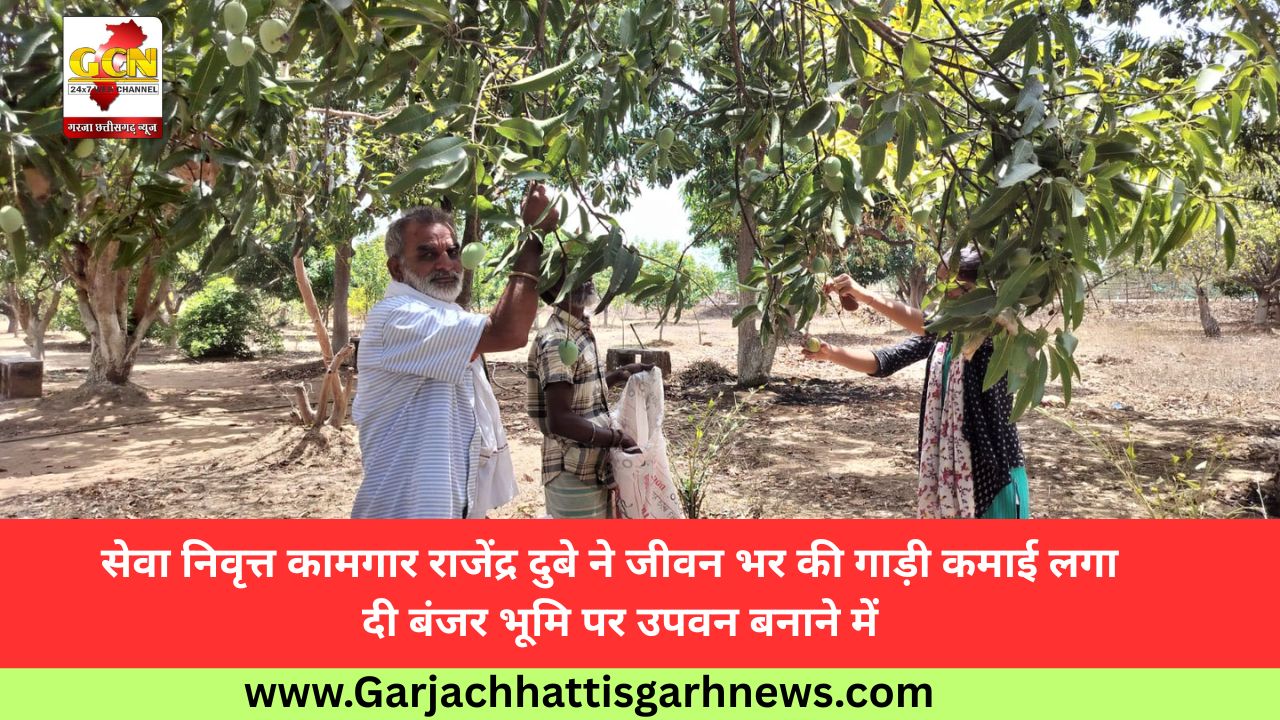 सेवा निवृत्त कामगार राजेंद्र दुबे ने जीवन भर की गाड़ी कमाई लगा  दी बंजर भूमि पर उपवन बनाने में